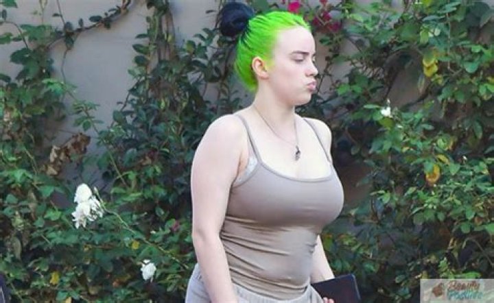 Explore The World Of Billie Eilish Tits